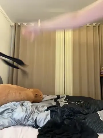 pupu_