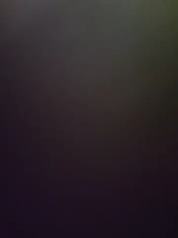 rumy_2005