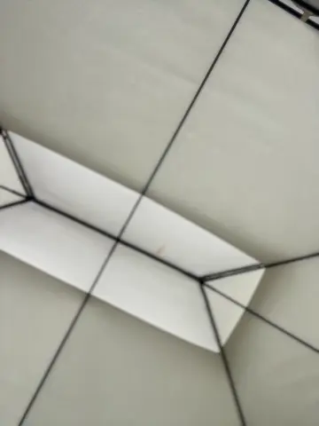 sara_calderon