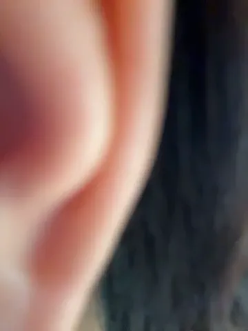 sex_bobo2026
