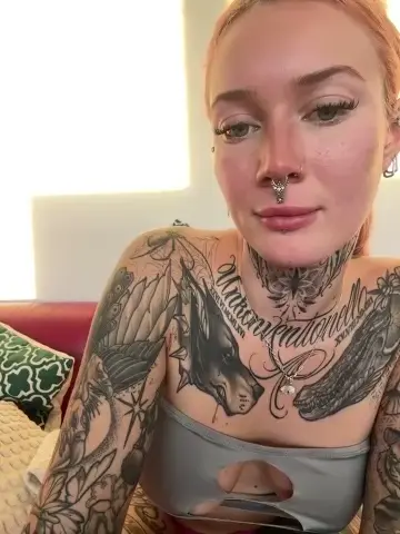 stella-kink