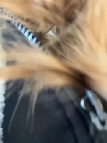 streetsquirt