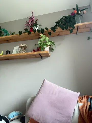 sugartroubl33