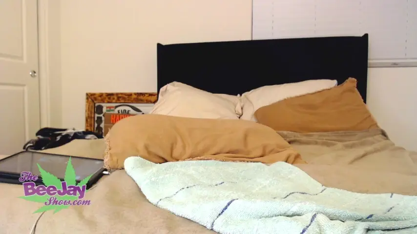 thebeejayshow