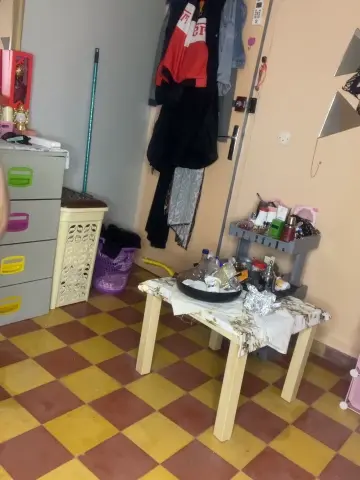 theperfectbody