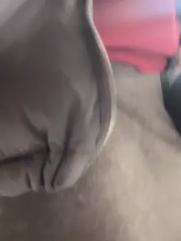 tisha_busty