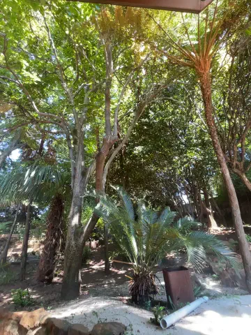 xxxsexyamazon