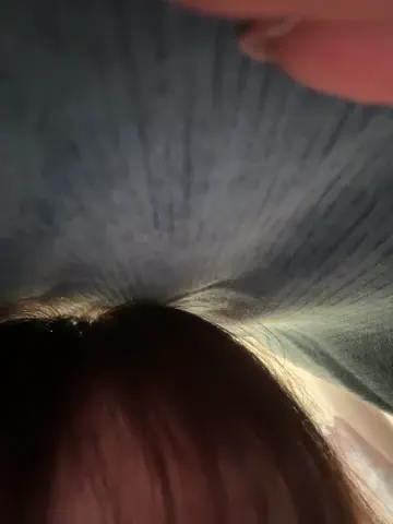 yourkeer