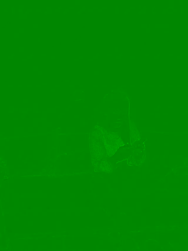 zhuendong000001